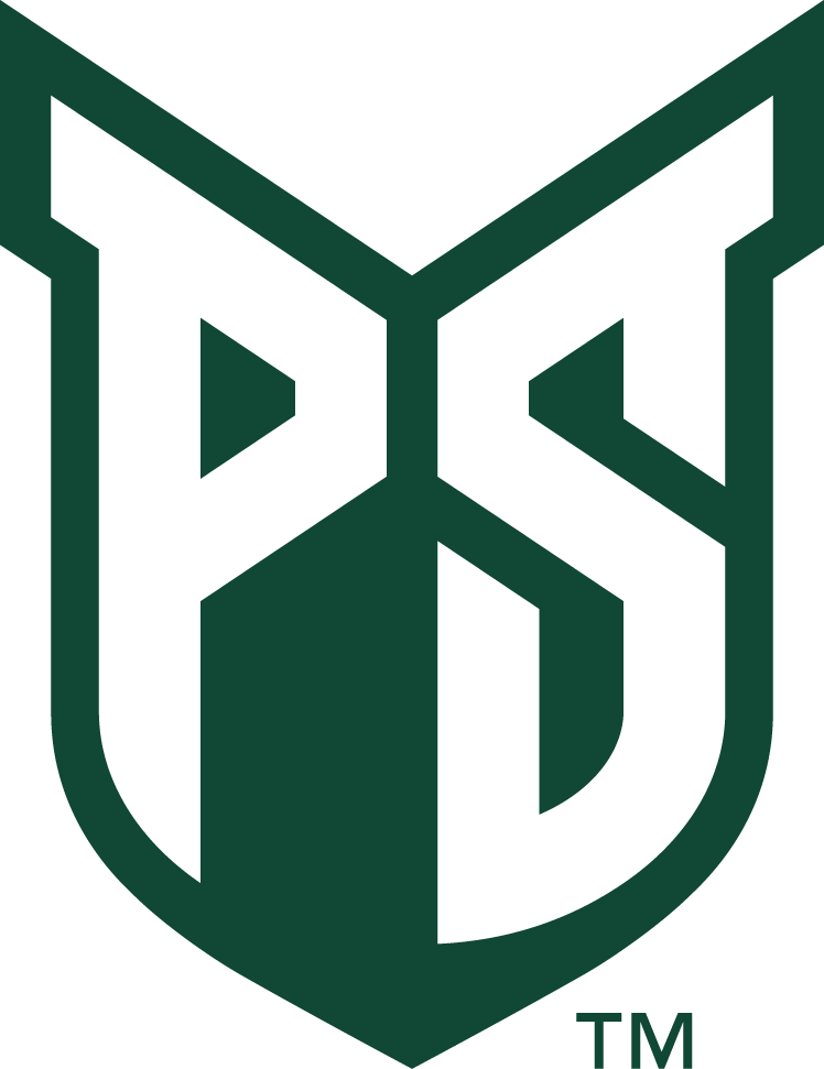 Portland State Vikings 2016-Pres Primary Logo iron on transfers for clothing